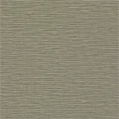 Weft Cedar
